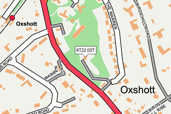 KT22 0ST map - OS OpenMap – Local (Ordnance Survey)