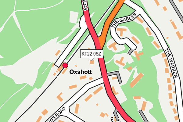 KT22 0SZ map - OS OpenMap – Local (Ordnance Survey)