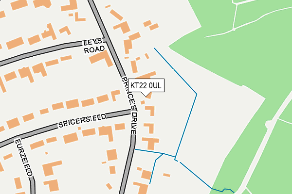 KT22 0UL map - OS OpenMap – Local (Ordnance Survey)