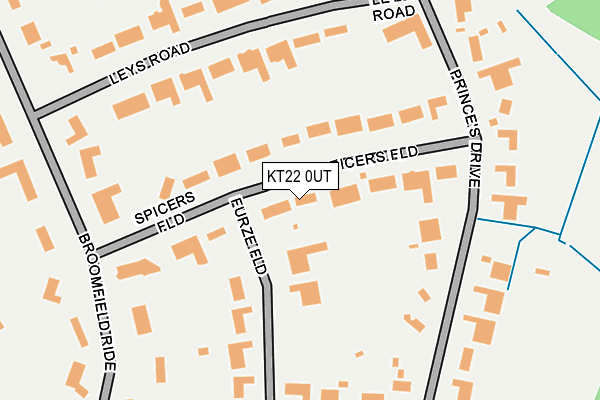 KT22 0UT map - OS OpenMap – Local (Ordnance Survey)