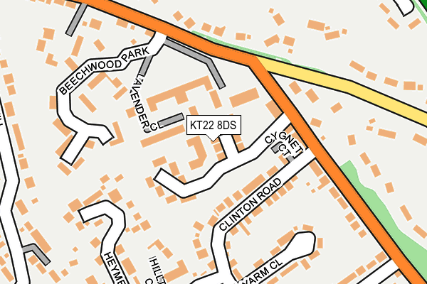 KT22 8DS map - OS OpenMap – Local (Ordnance Survey)
