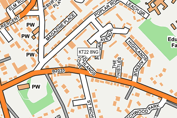KT22 8NG map - OS OpenMap – Local (Ordnance Survey)