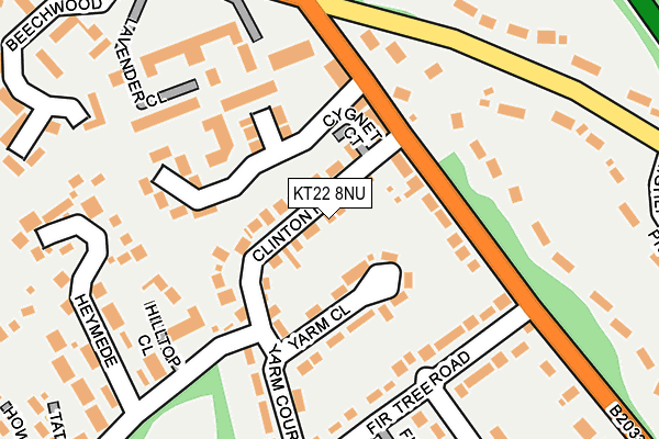 KT22 8NU map - OS OpenMap – Local (Ordnance Survey)