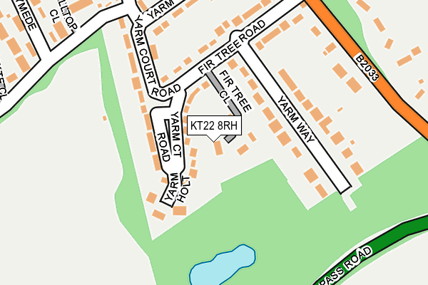 KT22 8RH map - OS OpenMap – Local (Ordnance Survey)