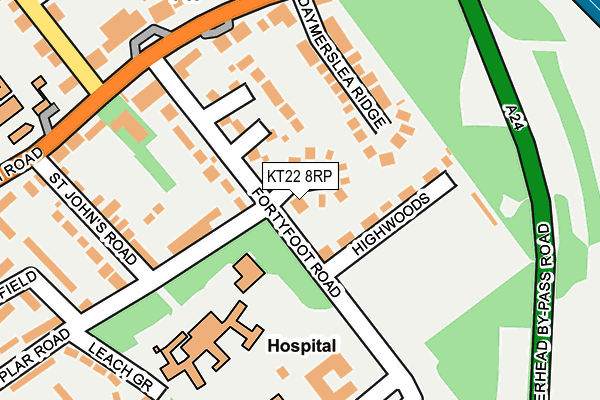 KT22 8RP map - OS OpenMap – Local (Ordnance Survey)