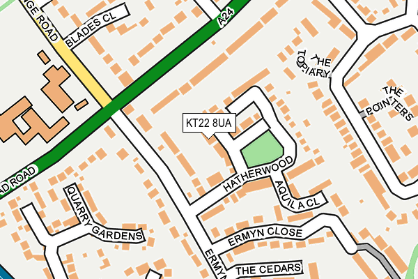 KT22 8UA map - OS OpenMap – Local (Ordnance Survey)