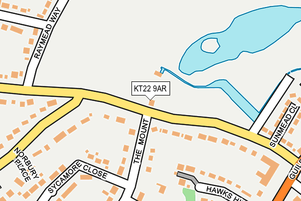 KT22 9AR map - OS OpenMap – Local (Ordnance Survey)