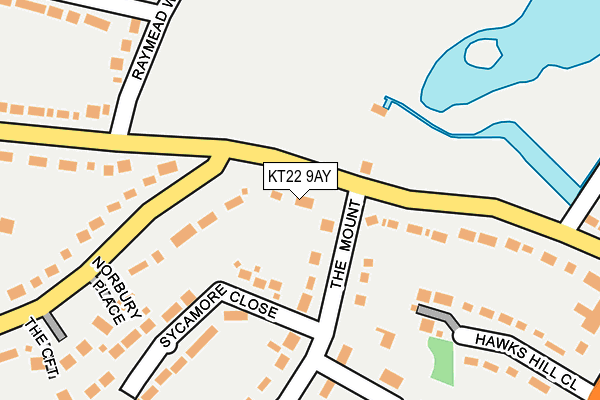 KT22 9AY map - OS OpenMap – Local (Ordnance Survey)