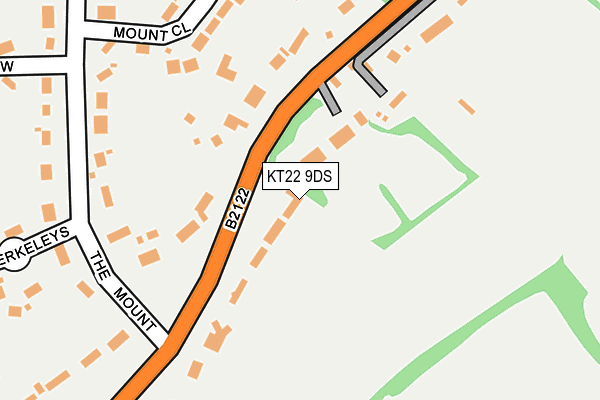 KT22 9DS map - OS OpenMap – Local (Ordnance Survey)
