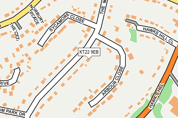 KT22 9EB map - OS OpenMap – Local (Ordnance Survey)
