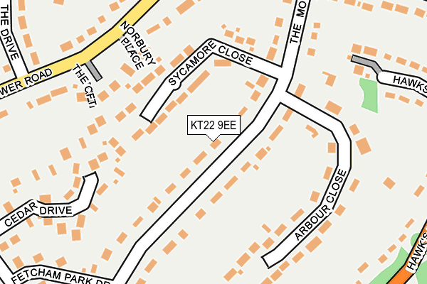KT22 9EE map - OS OpenMap – Local (Ordnance Survey)