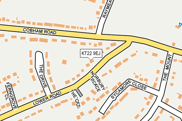 KT22 9EJ map - OS OpenMap – Local (Ordnance Survey)