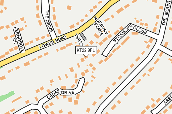 KT22 9FL map - OS OpenMap – Local (Ordnance Survey)