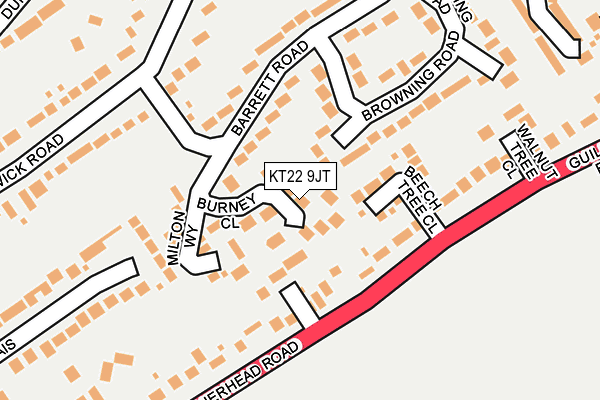 KT22 9JT map - OS OpenMap – Local (Ordnance Survey)