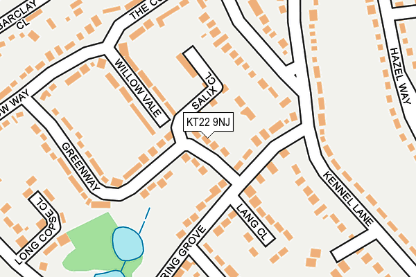 KT22 9NJ map - OS OpenMap – Local (Ordnance Survey)