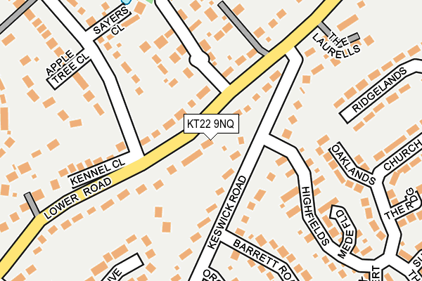 KT22 9NQ map - OS OpenMap – Local (Ordnance Survey)