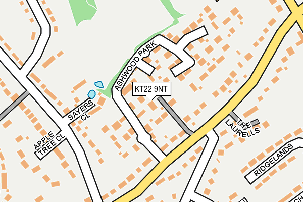 KT22 9NT map - OS OpenMap – Local (Ordnance Survey)