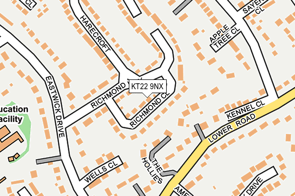 KT22 9NX map - OS OpenMap – Local (Ordnance Survey)