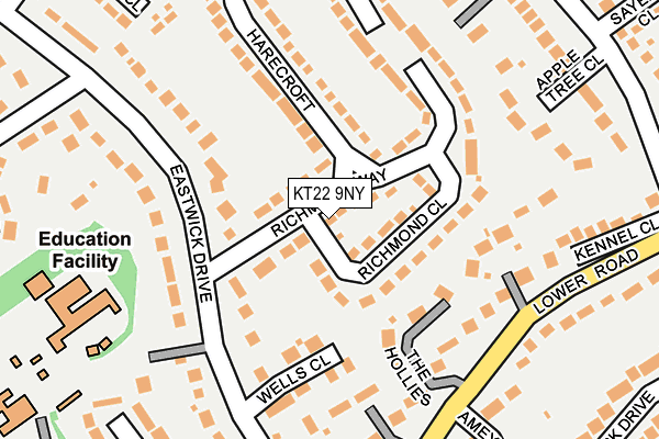 KT22 9NY map - OS OpenMap – Local (Ordnance Survey)