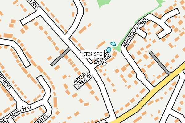 KT22 9PG map - OS OpenMap – Local (Ordnance Survey)