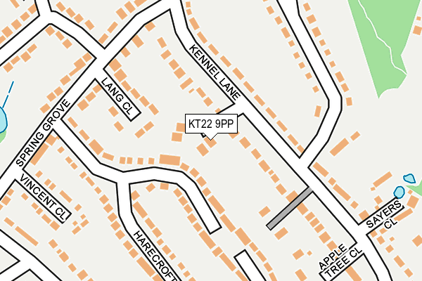 KT22 9PP map - OS OpenMap – Local (Ordnance Survey)