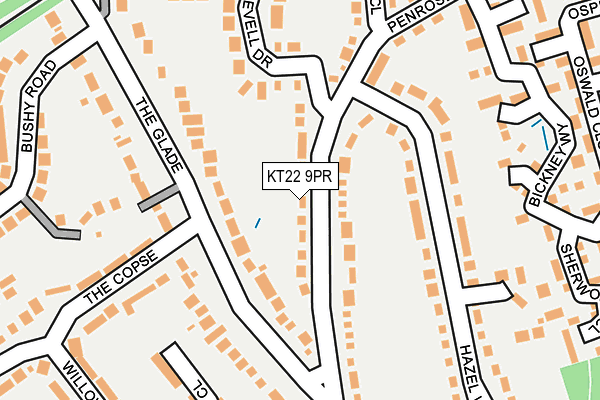 KT22 9PR map - OS OpenMap – Local (Ordnance Survey)