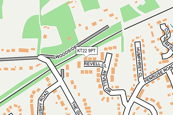 KT22 9PT map - OS OpenMap – Local (Ordnance Survey)