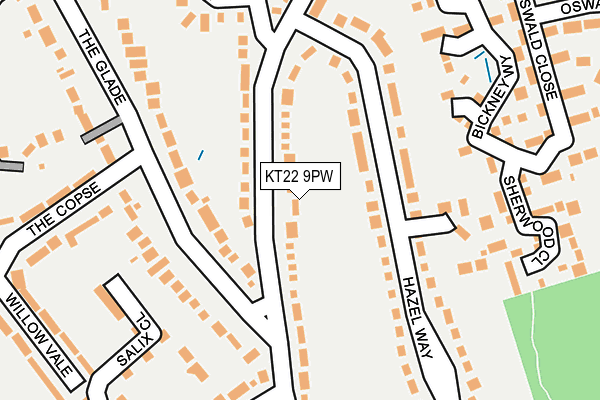 KT22 9PW map - OS OpenMap – Local (Ordnance Survey)