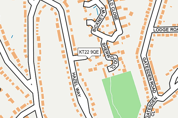 KT22 9QE map - OS OpenMap – Local (Ordnance Survey)