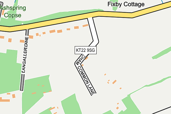 KT22 9SG map - OS OpenMap – Local (Ordnance Survey)