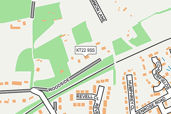 KT22 9SS map - OS OpenMap – Local (Ordnance Survey)