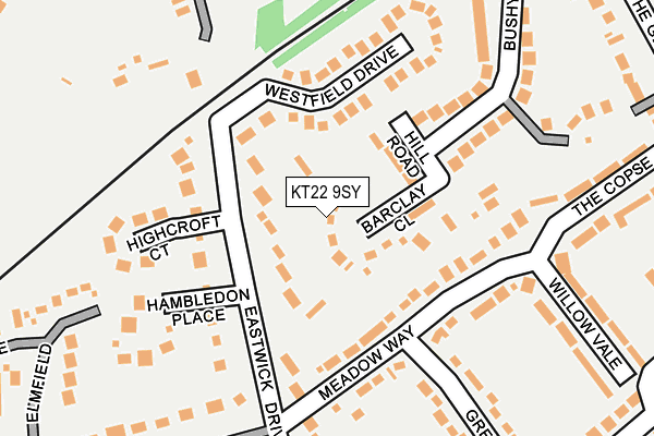 KT22 9SY map - OS OpenMap – Local (Ordnance Survey)