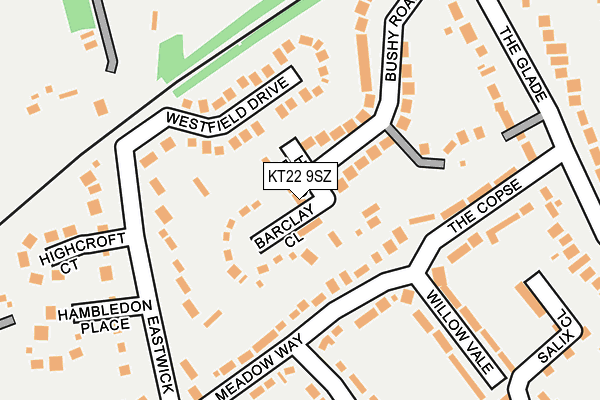KT22 9SZ map - OS OpenMap – Local (Ordnance Survey)