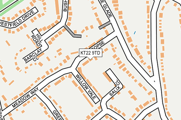 KT22 9TD map - OS OpenMap – Local (Ordnance Survey)