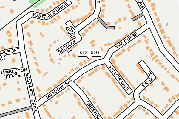 KT22 9TG map - OS OpenMap – Local (Ordnance Survey)