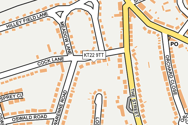 KT22 9TT map - OS OpenMap – Local (Ordnance Survey)