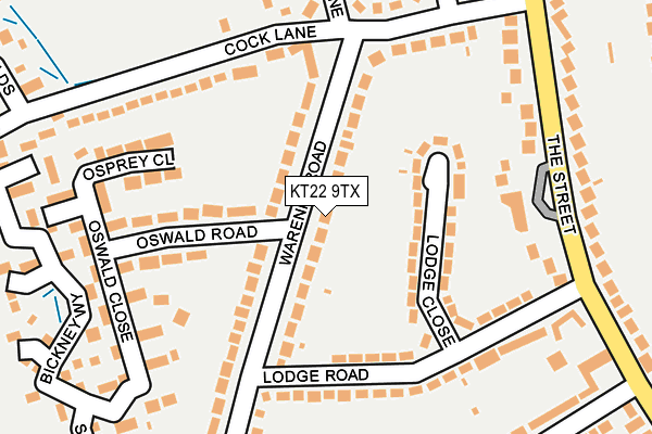 KT22 9TX map - OS OpenMap – Local (Ordnance Survey)