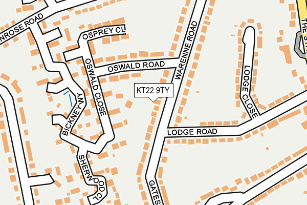 KT22 9TY map - OS OpenMap – Local (Ordnance Survey)