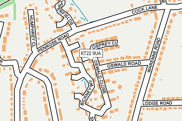 KT22 9UA map - OS OpenMap – Local (Ordnance Survey)