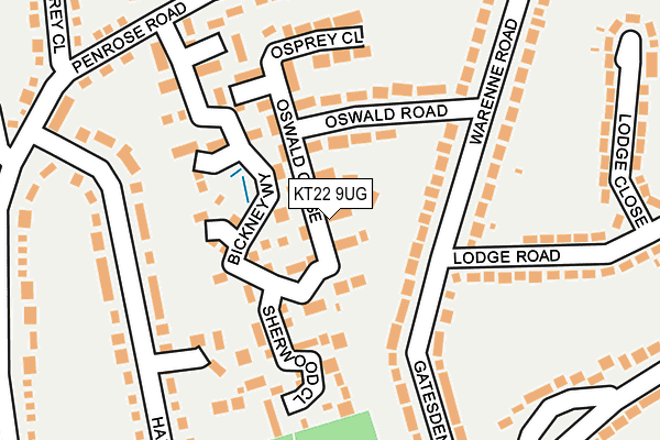 KT22 9UG map - OS OpenMap – Local (Ordnance Survey)