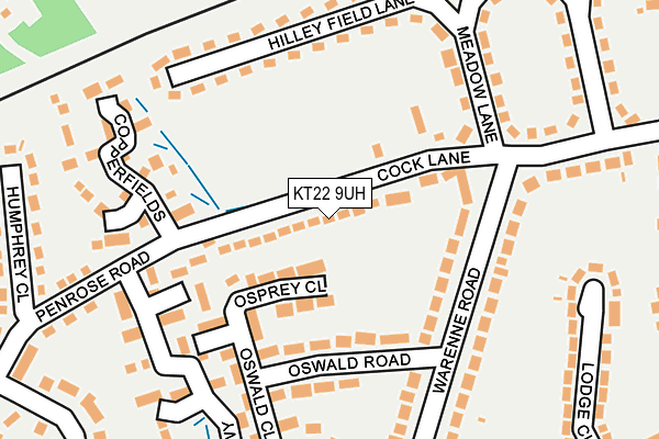 KT22 9UH map - OS OpenMap – Local (Ordnance Survey)