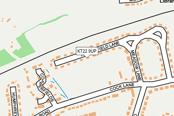 KT22 9UP map - OS OpenMap – Local (Ordnance Survey)