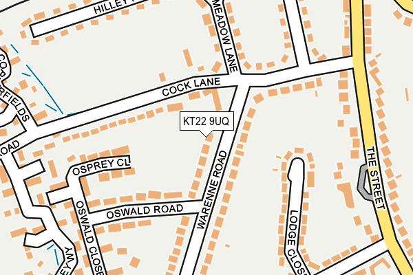 KT22 9UQ map - OS OpenMap – Local (Ordnance Survey)