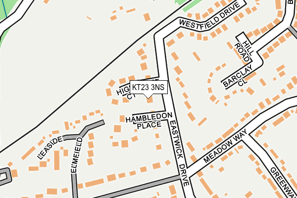 KT23 3NS map - OS OpenMap – Local (Ordnance Survey)