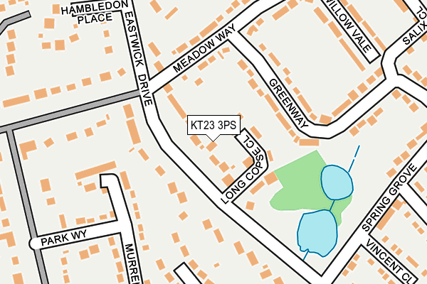 KT23 3PS map - OS OpenMap – Local (Ordnance Survey)