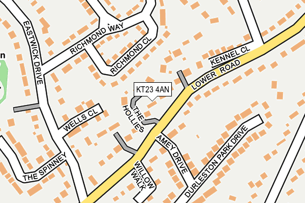 KT23 4AN map - OS OpenMap – Local (Ordnance Survey)