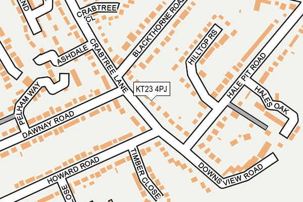 KT23 4PJ map - OS OpenMap – Local (Ordnance Survey)