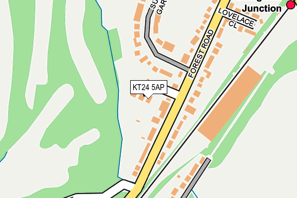KT24 5AP map - OS OpenMap – Local (Ordnance Survey)