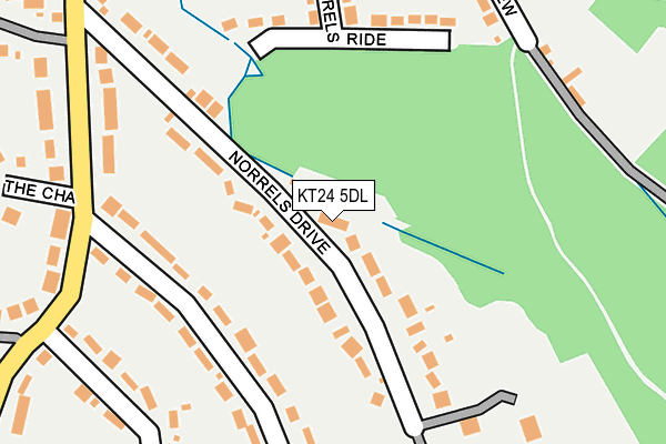 KT24 5DL map - OS OpenMap – Local (Ordnance Survey)