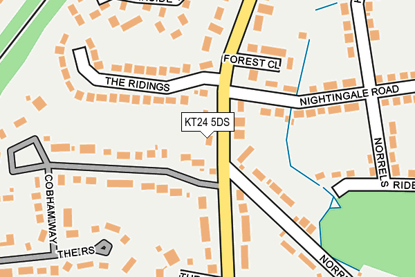 KT24 5DS map - OS OpenMap – Local (Ordnance Survey)